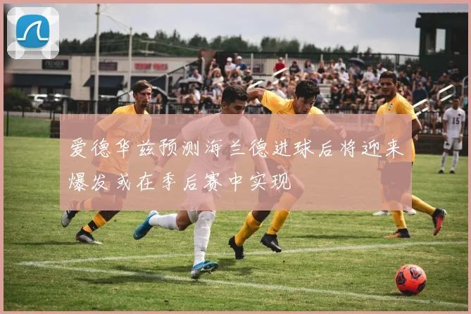 爱德华兹预测海兰德进球后将迎来爆发或在季后赛中实现